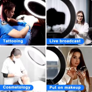 22inch LED Selfie RingLight Photographic Desk Ring Light Rgb Fill Light Lamp With Tripod Phone Holder - Image 3