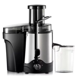 RAF Fruit Portable Centrifugal Juicer Transparent Filter Bowl Wide Feed Chute Dual Speeds Juicer Extractor Machine 5L capacity - Image 7
