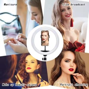 New10-inch 26cm super bright LED mobile phone live broadcast ring light - Image 6