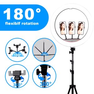 22inch LED Selfie RingLight Photographic Desk Ring Light Rgb Fill Light Lamp With Tripod Phone Holder - Image 5