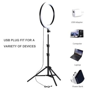 023 Dimmable 10 Inch 16 color Photography Lighting Led RGB Ring Light,ring light with tripod stand - Image 5
