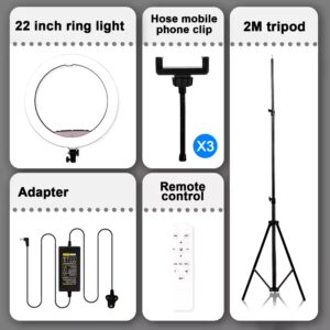 22inch LED Selfie RingLight Photographic Desk Ring Light Rgb Fill Light Lamp With Tripod Phone Holder - Image 6
