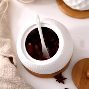 Wholesale luxury mini seasoning condiment porcelain ceramic container set spice jars with glass bamboo wood lid - Image 7