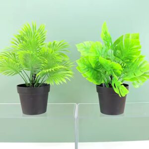 Northern European style simulation turtle back leaf green plant potted turtle back bamboo plant decoration landscaping - Image 7