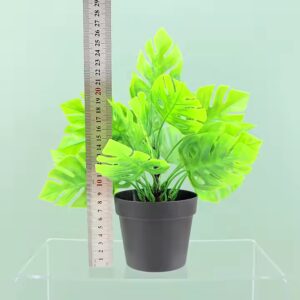 Northern European style simulation turtle back leaf green plant potted turtle back bamboo plant decoration landscaping - Image 5
