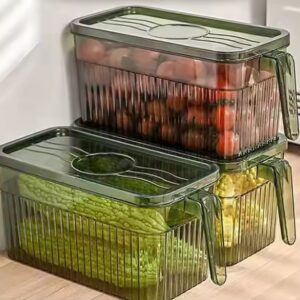 Refrigerator storage box Food grade kitchen food and vegetable fresh-keeping box Freezer storage box - Image 4