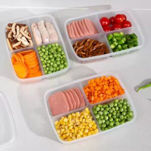Compartment Shredded Meat Crisper Four-grid Meat Slices Separately Packed Case Refrigerator Food Kitchen Accessories Minimalist - Image 6