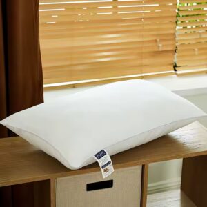 Quality Memory Foam Pillow Antibacterial Single Pillow Core with Non-Woven Cotton And Polyester for Bed Use - Image 7