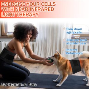 Red Infrared Light Therapy Pad LED Beauty Devices for Face and Body Back Knee Hands Feet Relief Portable 660nm 850nm Heat Pad - Image 3