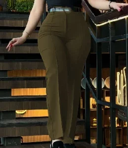 Women's Pants Autumn Fashion New Pants High Waist Straight Leg Work Pants Temperament Commuting Slim Fit Elegant Pants - Image 5