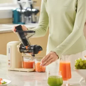Juicer new home juicer juice residue separation fruits and vegetables celery green juice small automatic slow grinder - Image 5