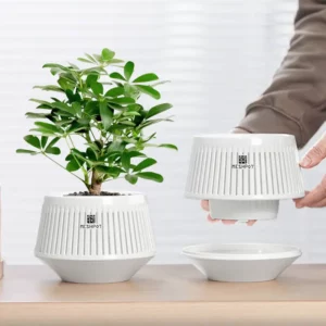 Meshpot Home Plants Pot Desk Flower Pot with Saucer for House Decoration Holiday Gift Planter 12cm - Image 4