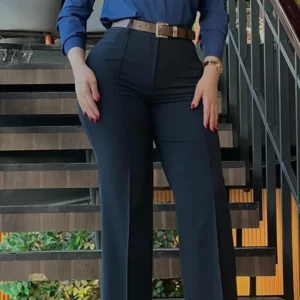 Women's Pants Autumn Fashion New Pants High Waist Straight Leg Work Pants Temperament Commuting Slim Fit Elegant Pants - Image 4