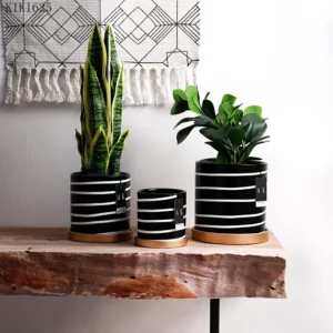 Household Countertop Flowerpot Plant Cactus Potted Modern Abstract Black and White Striped Ceramic Flowerpot Gardening Decor New - Image 2