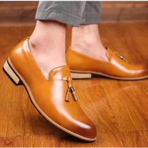 Luxury Mens Leather Shoes Office Men Formal Oxfords Pointed Oxford Wedding Leather Men Dress Shoes Fringed Loafers Social Shoesc - Image 1