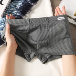 EXILIENS Brand Soft Mesh 1pcs/3pcs Solid Boxer Men Underwear Hot Underpant Mens Boxers BoxerShorts Man Panties Size M-3XL XS829 - Image 5