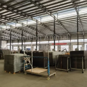 Industrial Poultry Equipment Chicken Farming H Type Layer Pullet Cages Baby Chicken Cages for 10000 Chickens Farming - Image 6