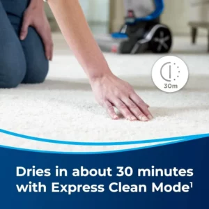 Afor 35799, Upright Deep Cleaner - Image 5